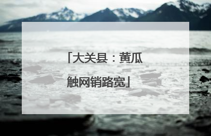 大关县：黄瓜触网销路宽