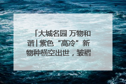 大城名园 万物和谐│紫色“高冷”新物种横空出世，皱褶叶片暗藏进化密码