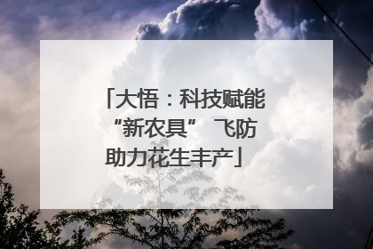 大悟：科技赋能“新农具” 飞防助力花生丰产