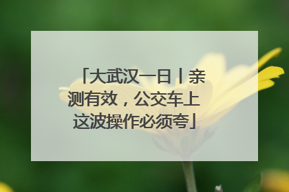 大武汉一日丨亲测有效，公交车上这波操作必须夸