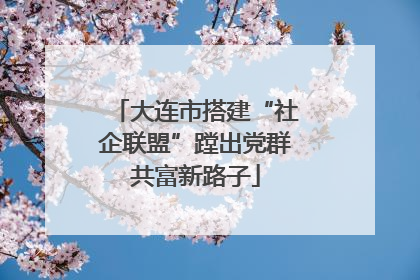 大连市搭建“社企联盟”蹚出党群共富新路子