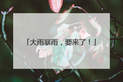 大雨暴雨，要来了！