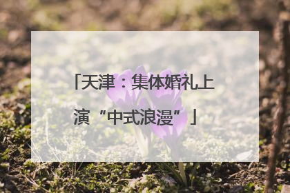 天津：集体婚礼上演“中式浪漫”