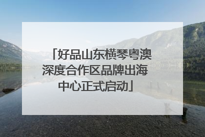 好品山东横琴粤澳深度合作区品牌出海中心正式启动