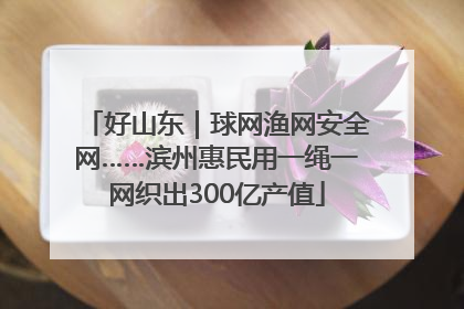好山东｜球网渔网安全网……滨州惠民用一绳一网织出300亿产值