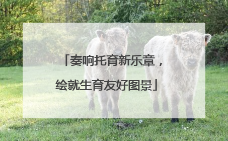 奏响托育新乐章，绘就生育友好图景
