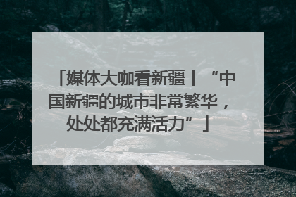 媒体大咖看新疆丨“中国新疆的城市非常繁华，处处都充满活力”