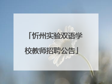 忻州实验双语学校教师招聘公告