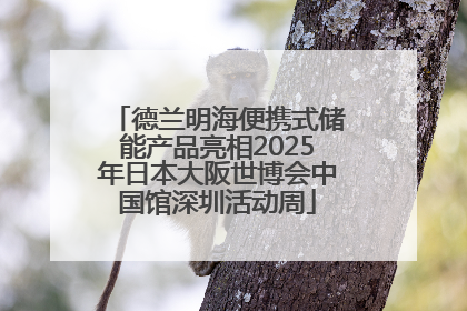 德兰明海便携式储能产品亮相2025年日本大阪世博会中国馆深圳活动周
