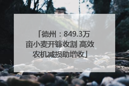德州：849.3万亩小麦开镰收割 高效农机减损助增收