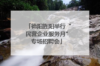 德阳旌阳举行“民营企业服务月”专场招聘会