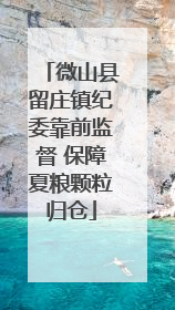 微山县留庄镇纪委靠前监督 保障夏粮颗粒归仓