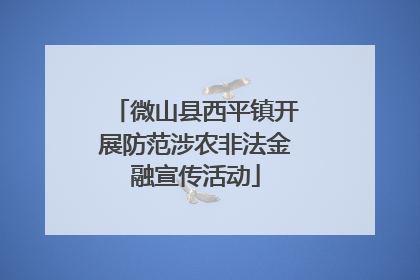 微山县西平镇开展防范涉农非法金融宣传活动