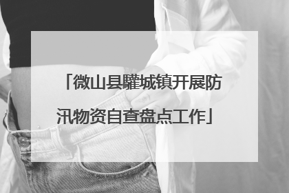 微山县驩城镇开展防汛物资自查盘点工作