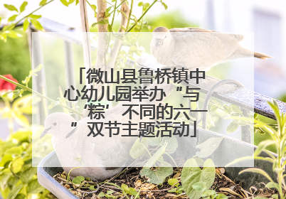 微山县鲁桥镇中心幼儿园举办“与‘粽’不同的六一”双节主题活动