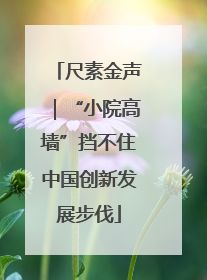 尺素金声｜“小院高墙”挡不住中国创新发展步伐
