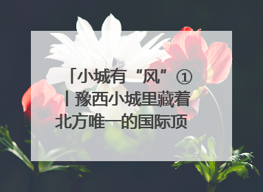 小城有“风”①丨豫西小城里藏着北方唯一的国际顶级皮划艇赛道