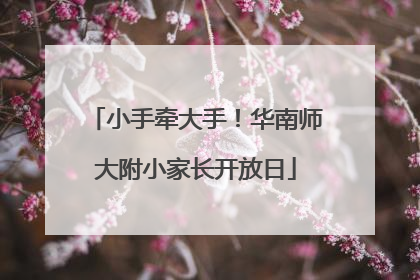 小手牵大手！华南师大附小家长开放日
