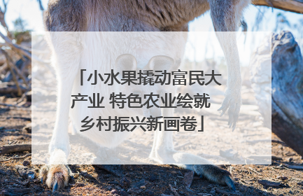 小水果撬动富民大产业 特色农业绘就乡村振兴新画卷