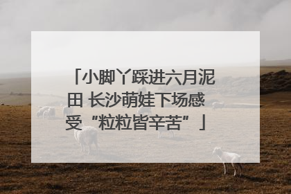 小脚丫踩进六月泥田 长沙萌娃下场感受“粒粒皆辛苦”