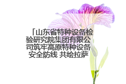 山东省特种设备检验研究院集团有限公司筑牢高原特种设备安全防线 共绘拉萨美好生活画卷