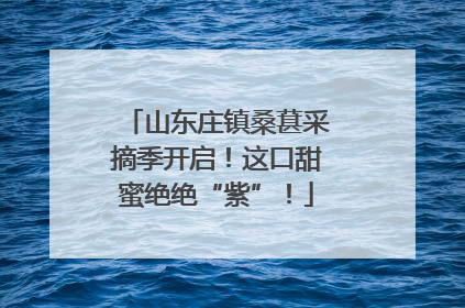 山东庄镇桑葚采摘季开启！这口甜蜜绝绝“紫”！