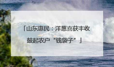 山东惠民：洋葱喜获丰收 鼓起农户“钱袋子”