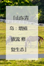 山东青岛：增殖放流 修复生态