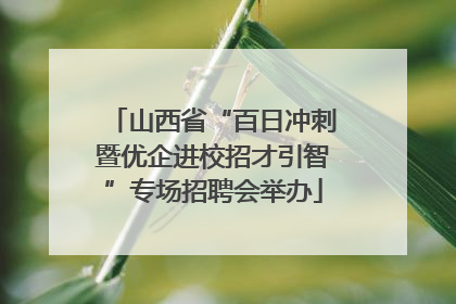 山西省“百日冲刺暨优企进校招才引智”专场招聘会举办