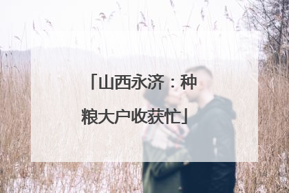 山西永济：种粮大户收获忙