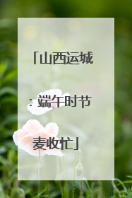 山西运城：端午时节麦收忙