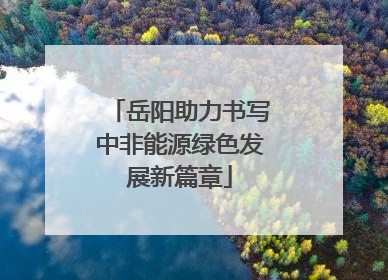岳阳助力书写中非能源绿色发展新篇章