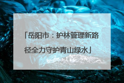 岳阳市：护林管理新路径全力守护青山绿水