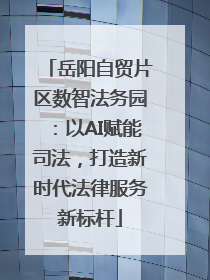 岳阳自贸片区数智法务园：以AI赋能司法，打造新时代法律服务新标杆