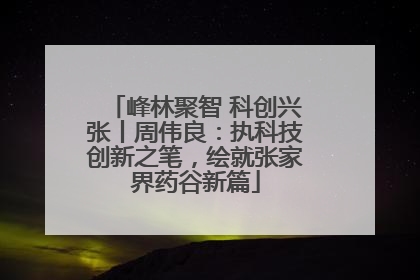 峰林聚智 科创兴张丨周伟良：执科技创新之笔，绘就张家界药谷新篇