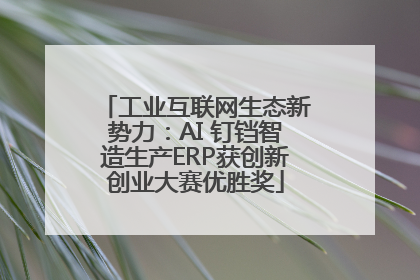 工业互联网生态新势力：AI 钉铛智造生产ERP获创新创业大赛优胜奖