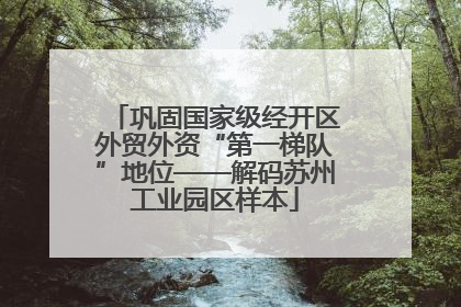 巩固国家级经开区外贸外资“第一梯队”地位——解码苏州工业园区样本