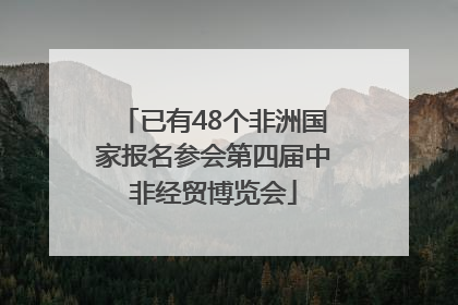 已有48个非洲国家报名参会第四届中非经贸博览会