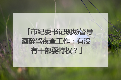市纪委书记现场督导酒醉驾夜查工作：有没有干部耍特权？
