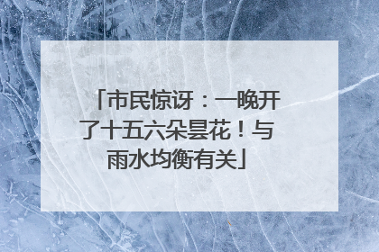 市民惊讶：一晚开了十五六朵昙花！与雨水均衡有关