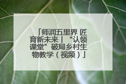 师润五里界 匠育新未来丨“认领课堂”破局乡村生物教学（视频）