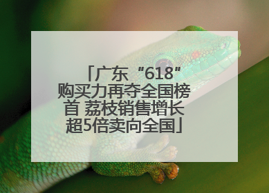 广东“618”购买力再夺全国榜首 荔枝销售增长超5倍卖向全国