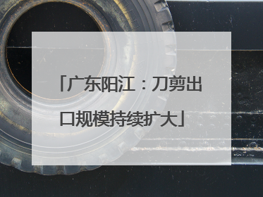 广东阳江：刀剪出口规模持续扩大