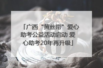 广西“黄丝带”爱心助考公益活动启动 爱心助考20年再升级