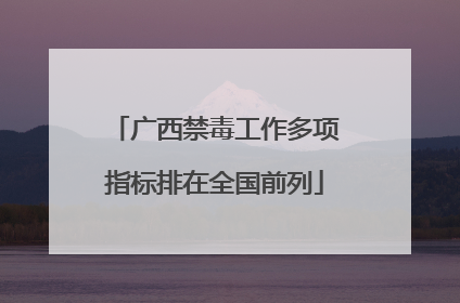 广西禁毒工作多项指标排在全国前列