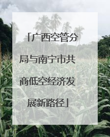 广西空管分局与南宁市共商低空经济发展新路径