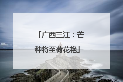 广西三江：芒种将至荷花艳