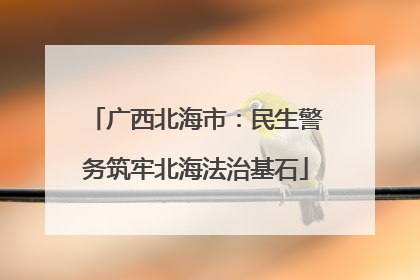 广西北海市：民生警务筑牢北海法治基石