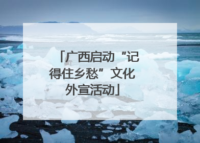 广西启动“记得住乡愁”文化外宣活动