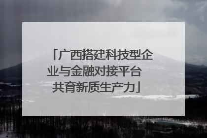 广西搭建科技型企业与金融对接平台 共育新质生产力
